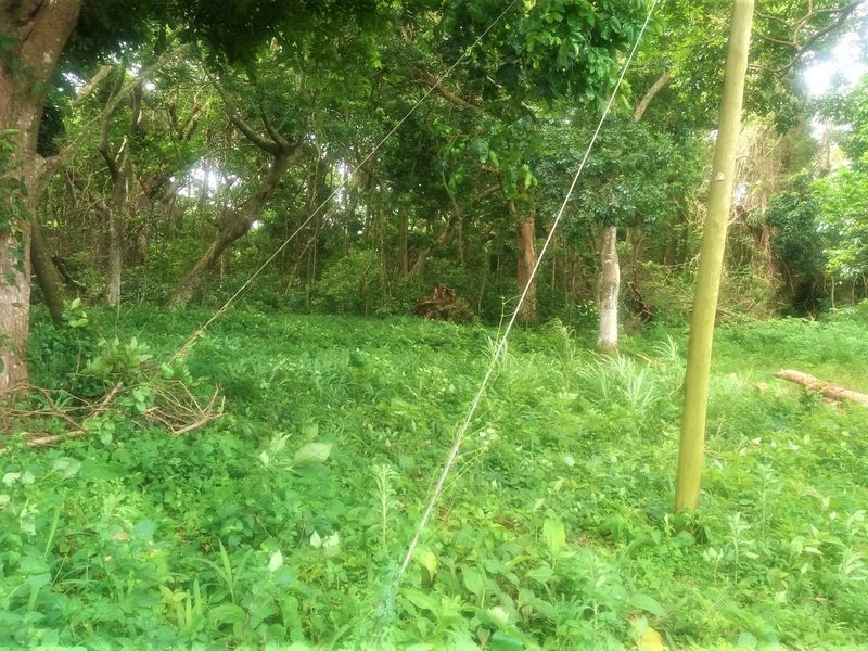 A Massive Vacant Piece Of Land In The Popular Umtentweni Perfect For Development!!! - Photo 5