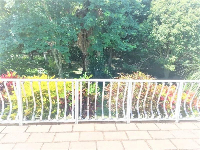 Expansive Erf Of 2773m2, With Exceptional Subdivision Potential - Photo 9