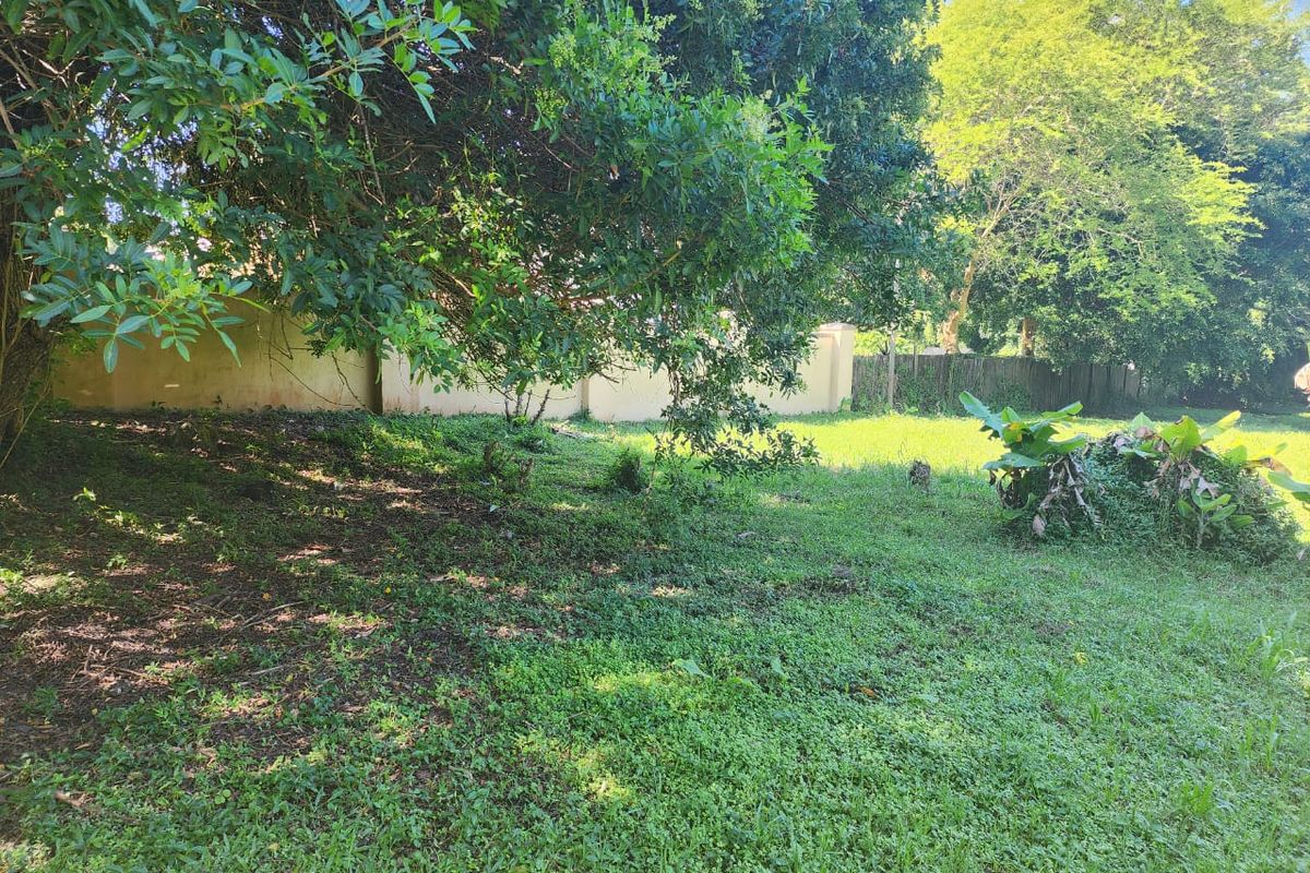 A view of the residential vacant land featuring a grassy lawn, mature trees, and a perimeter boundary wall.