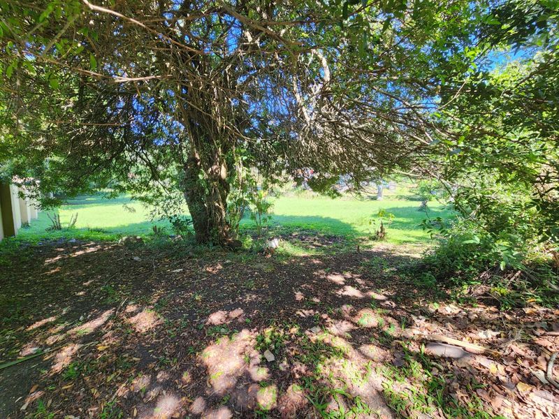 Perfect Flat Land Ready To Build On - Photo 1