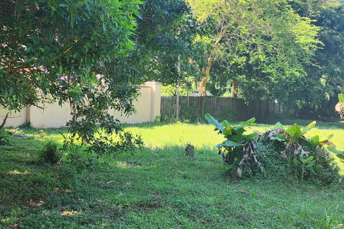A view of a residential vacant land plot featuring established trees, grassy terrain, and existing boundary wall and timber fencing.