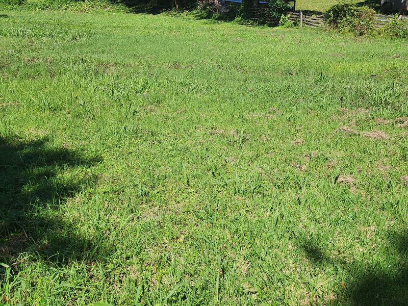 Perfect Flat Land Ready To Build On - Photo 3