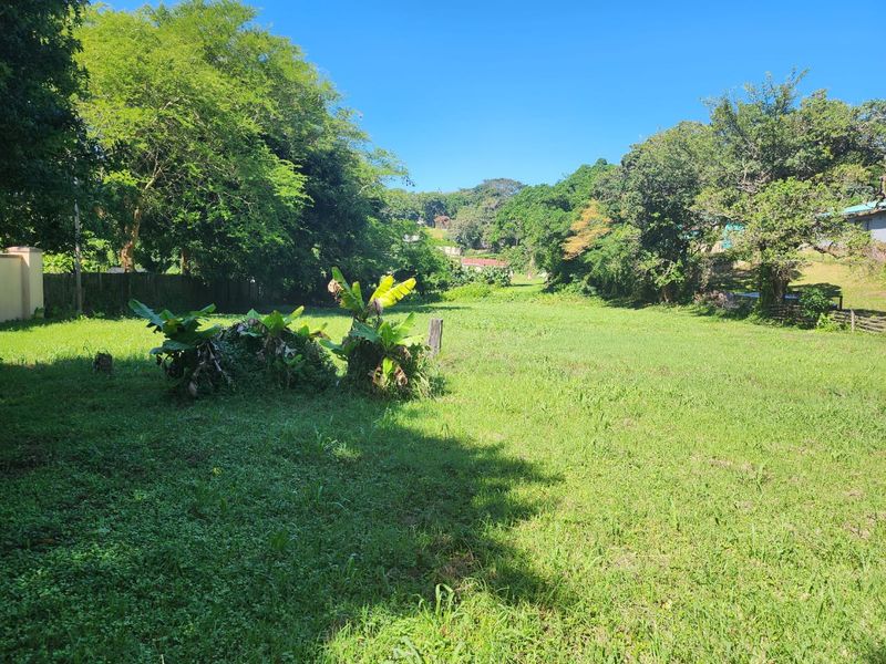 Perfect Flat Land Ready To Build On - Photo 7