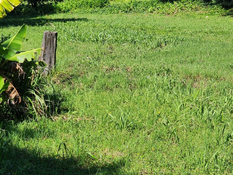 Perfect Flat Land Ready To Build On - Photo 6