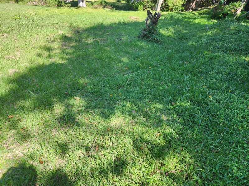 Perfect Flat Land Ready To Build On - Photo 5