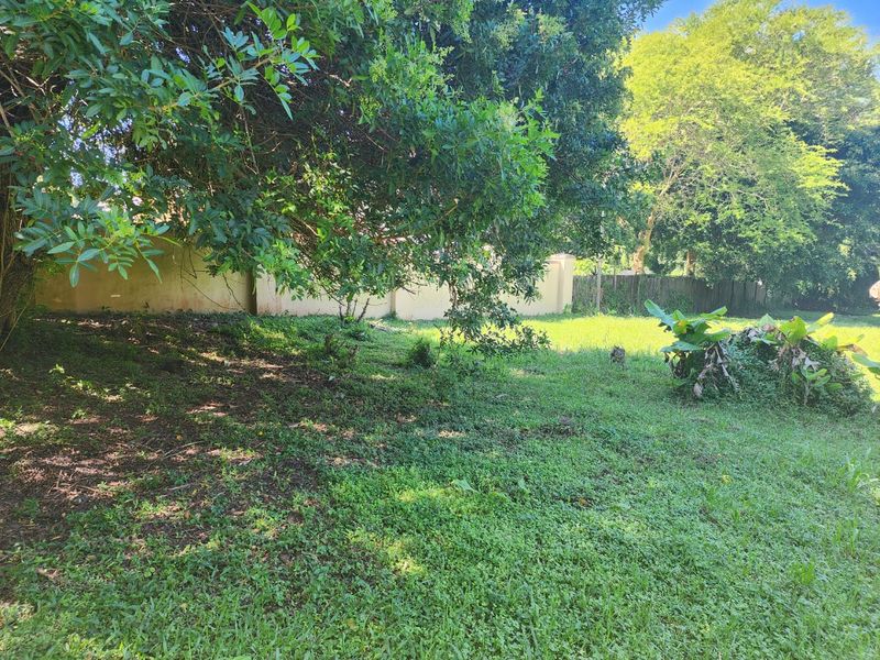 Perfect Flat Land Ready To Build On - Photo 4