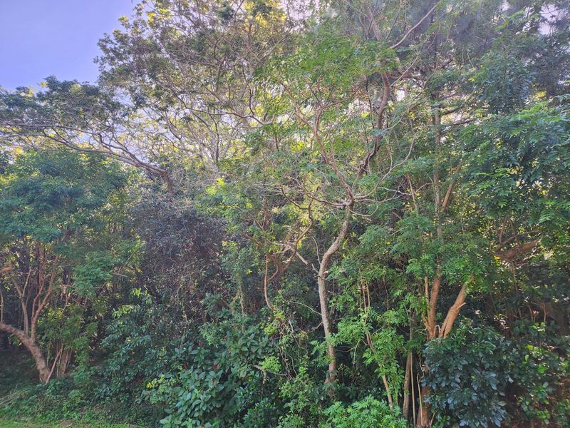 Ideal Vacant Stand For Your Ideal Home With Sea Views - Photo 1
