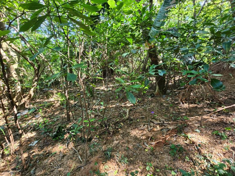 Ideal Vacant Stand For Your Ideal Home With Sea Views - Photo 2