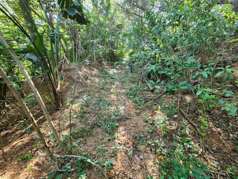 Ideal Vacant Stand For Your Ideal Home With Sea Views - Photo 3