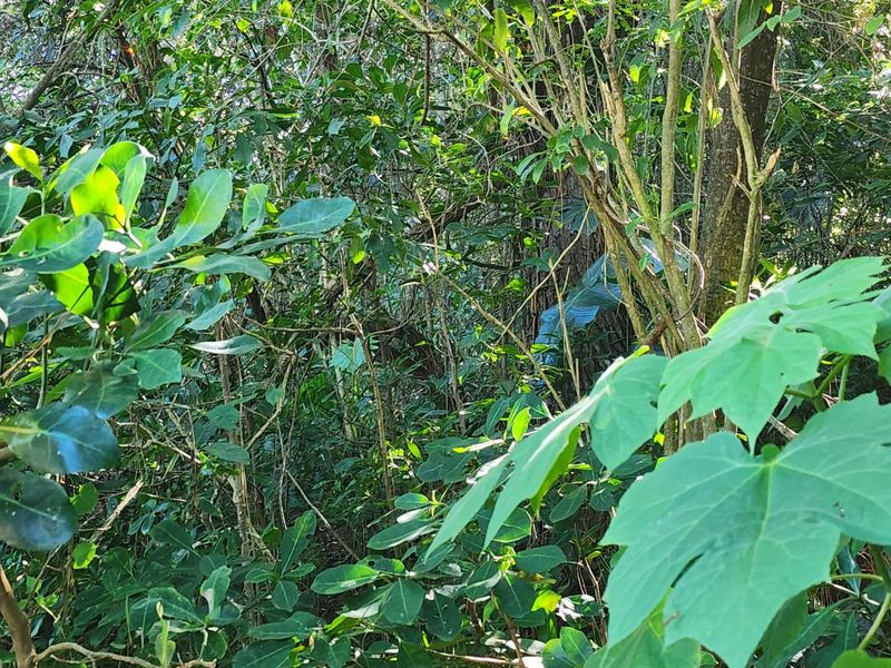 Ideal Vacant Stand For Your Ideal Home With Sea Views - Photo 7