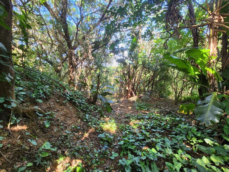 Ideal Vacant Stand For Your Ideal Home With Sea Views - Photo 6