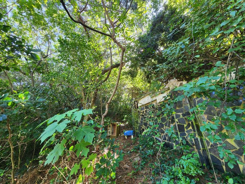 Ideal Vacant Stand For Your Ideal Home With Sea Views - Photo 5