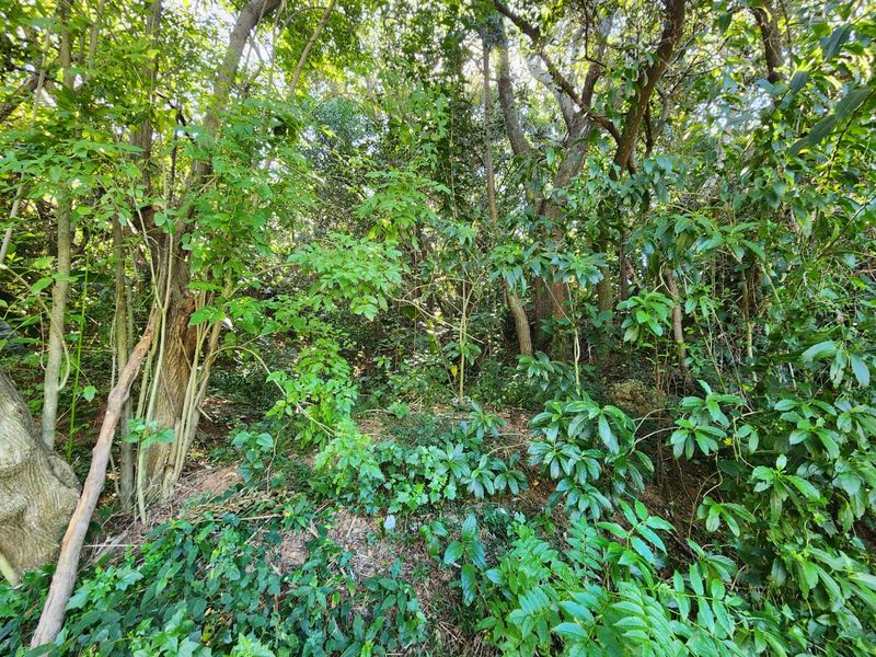 Ideal Vacant Stand For Your Ideal Home With Sea Views - Photo 4