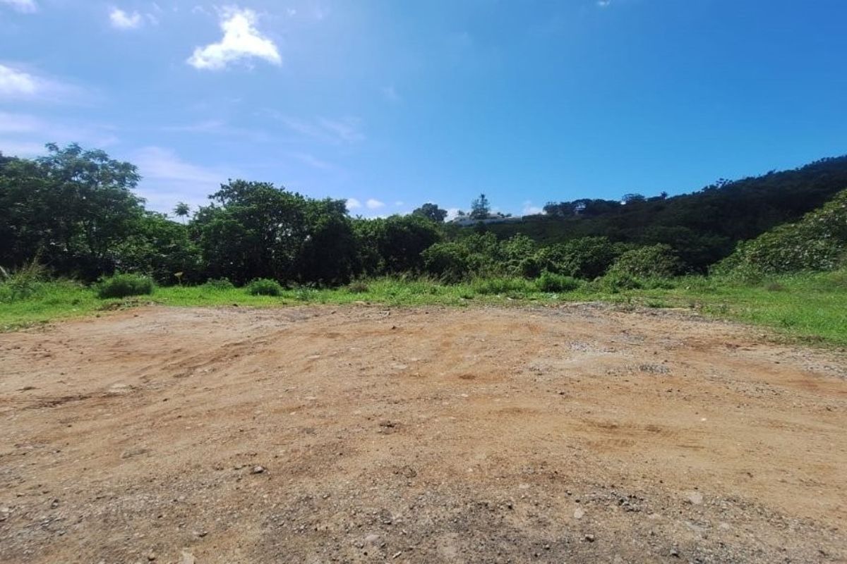 A view of a vacant residential plot featuring cleared ground, natural vegetation, and mature trees against a hillside backdrop.