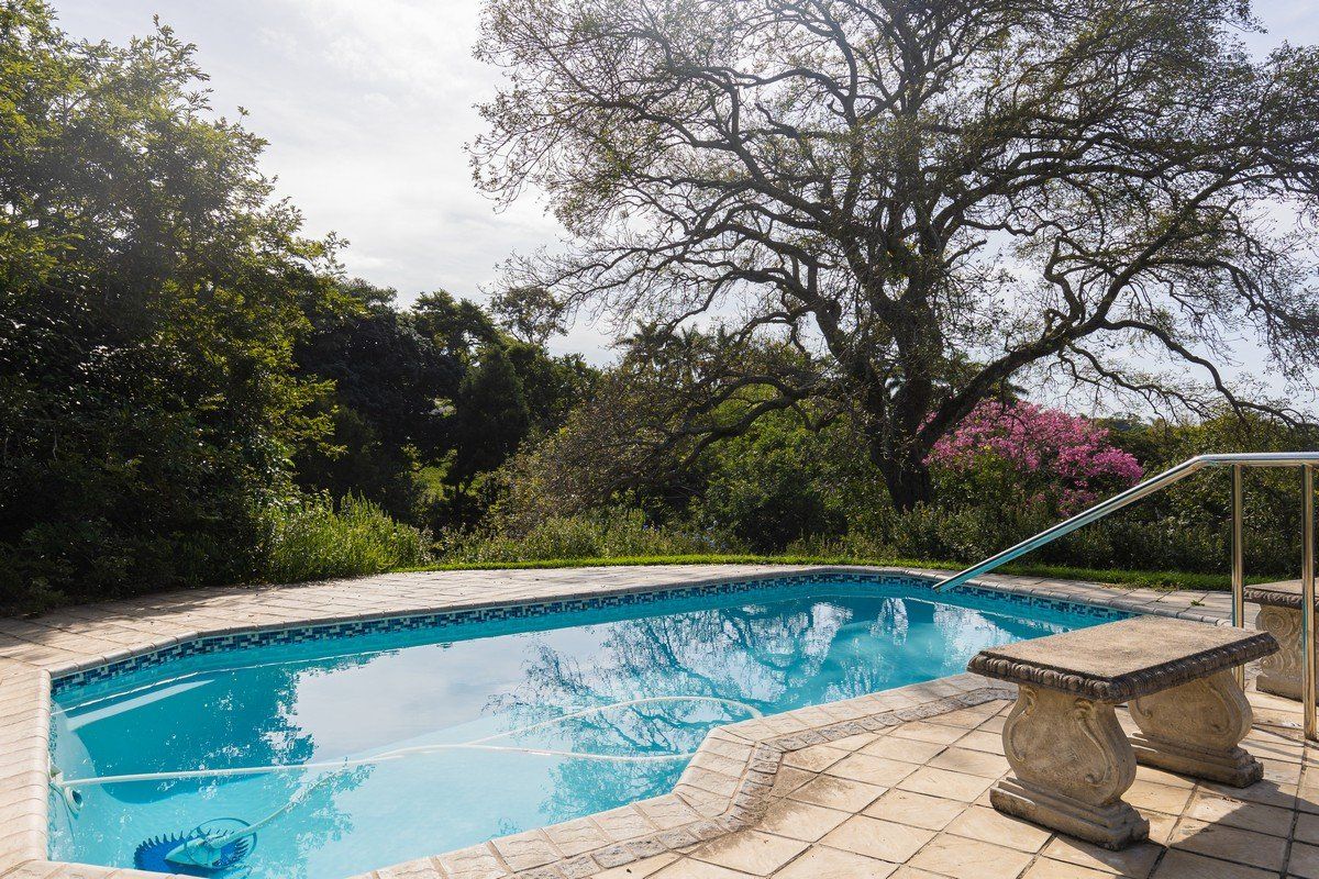 Home With A Dam Set In Umtentweni On A Massive Piece Of Ground - Photo 3