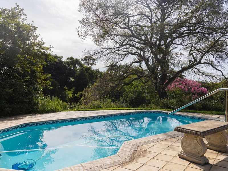 Home With A Dam Set In Umtentweni On A Massive Piece Of Ground - Photo 3