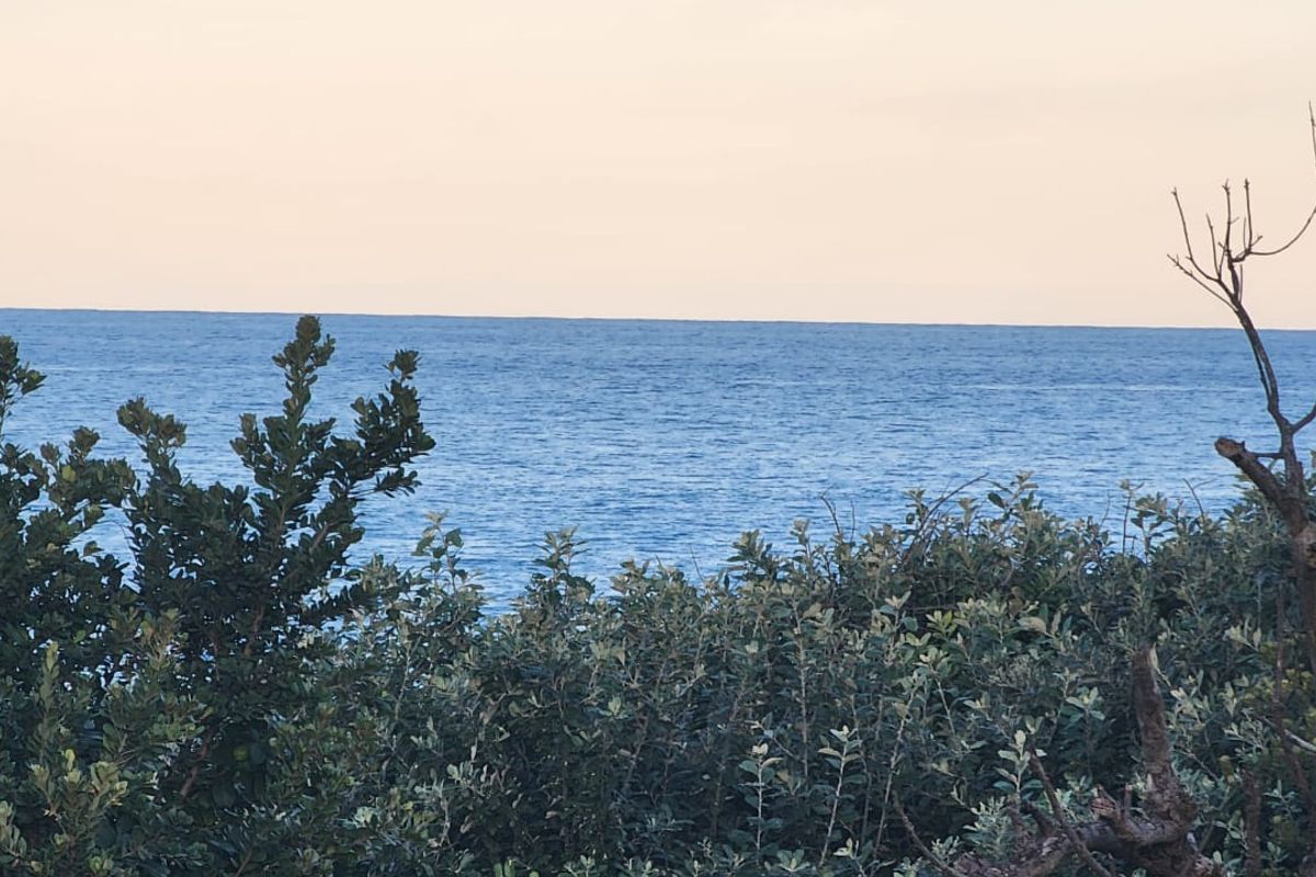 Home On The BEACH !! - Photo 4