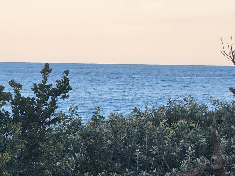 Home On The BEACH !! - Photo 4