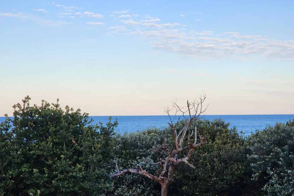 Home On The BEACH !! - Photo 3