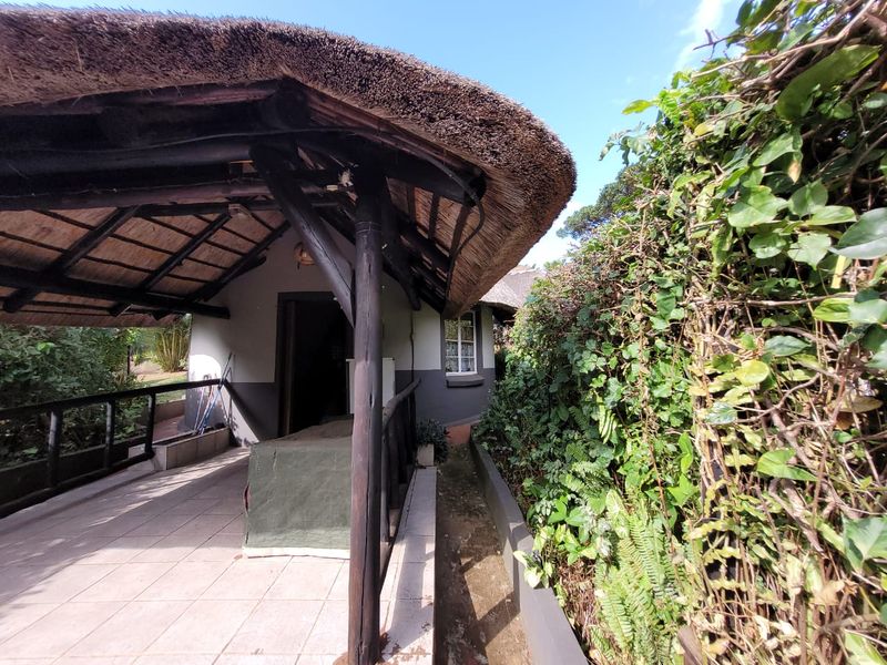 A covered outdoor patio area featuring a traditional thatched roof, timber support structure, and tiled flooring, adjacent to a lush garden hedge.