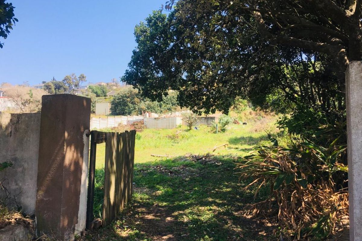 A view of a vacant residential plot featuring mature trees, a concrete boundary wall, and an existing timber gate entrance.