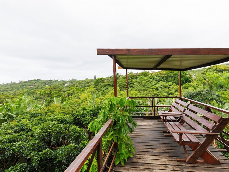 Own Your Own Little Lodge In Southbroom - Photo 9