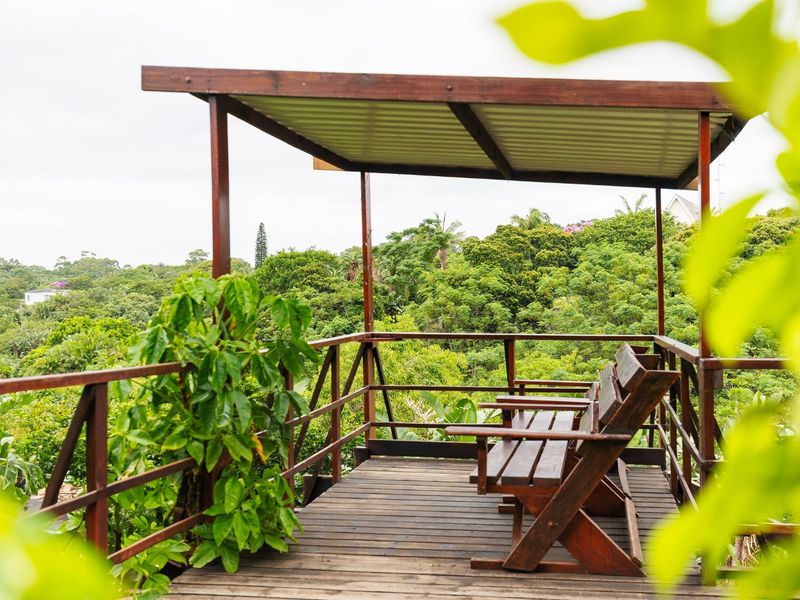 Own Your Own Little Lodge In Southbroom - Photo 8