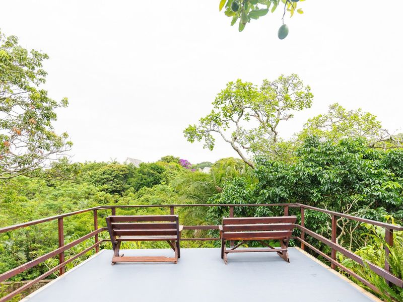 Own Your Own Little Lodge In Southbroom - Photo 6