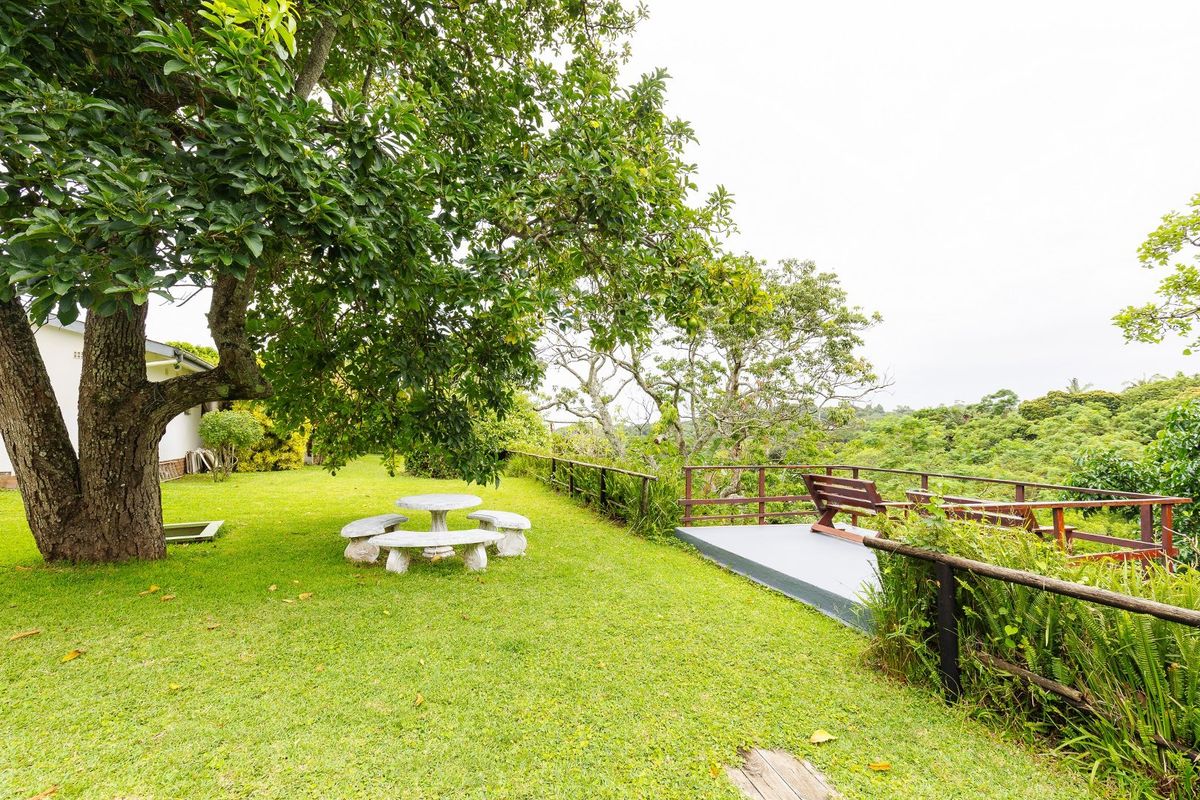 Own Your Own Little Lodge In Southbroom - Photo 5