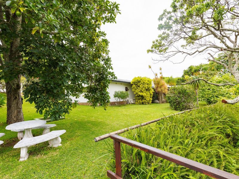 Own Your Own Little Lodge In Southbroom - Photo 4