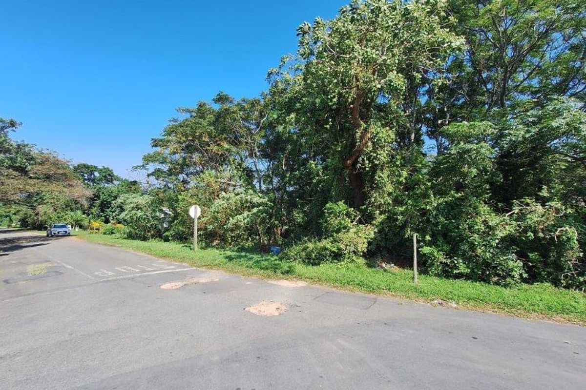 A view of a vacant residential plot from the street, featuring mature trees and natural vegetation along the roadside.