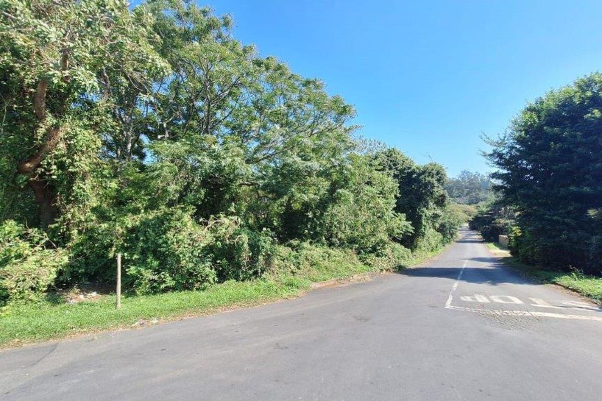 A view of the street frontage showing the access road and the dense vegetation bordering the vacant residential land.