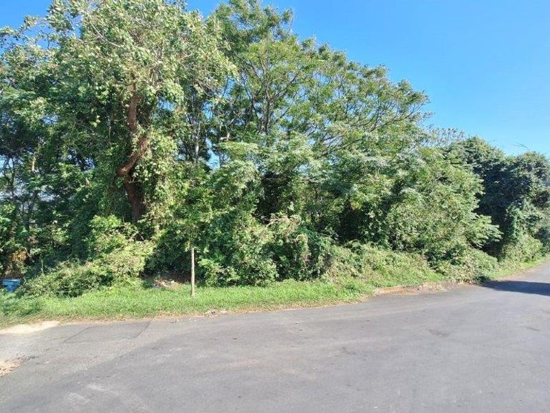 Unbelievable Opportunity! - Photo 1