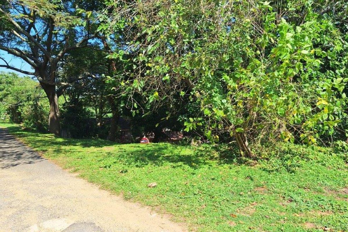 A view of a vacant residential plot featuring established trees and natural vegetation, bordering a paved road.