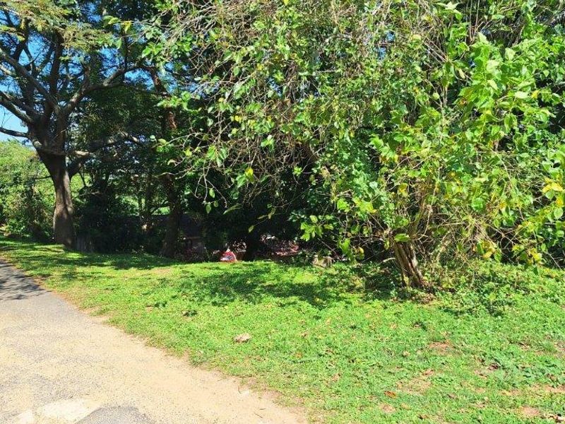 Unbelievable Opportunity! - Photo 4