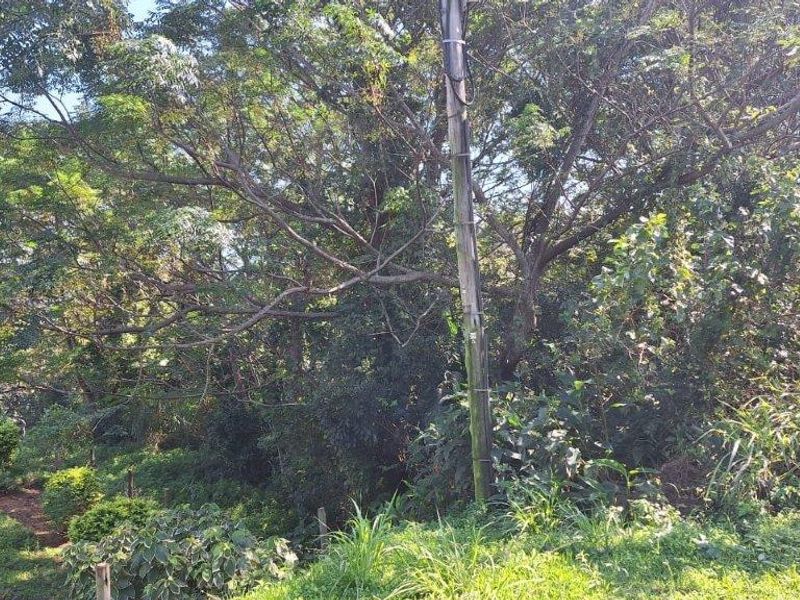 Unbelievable Opportunity! - Photo 5