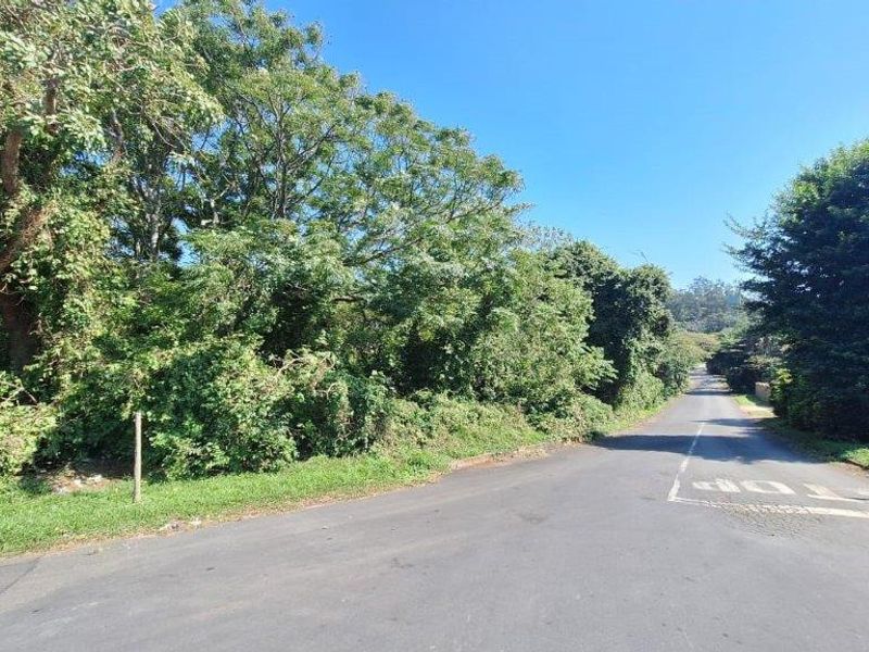 Unbelievable Opportunity! - Photo 3