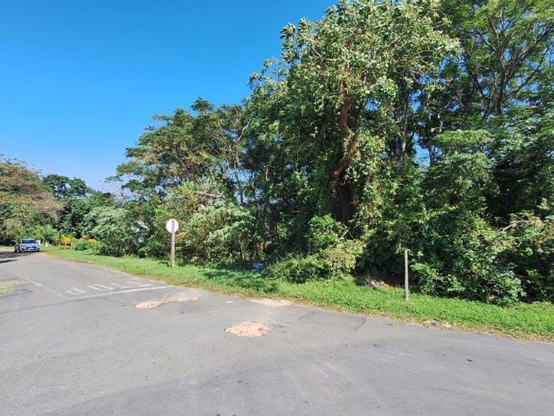 Unbelievable Opportunity! - Photo 2