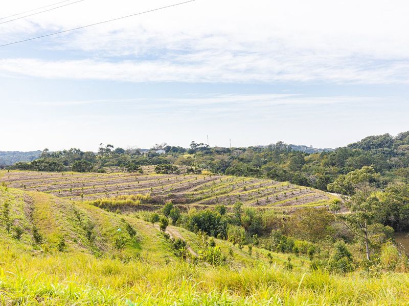 Expansive view of the farm property featuring terraced land, natural vegetation, and a small water feature.