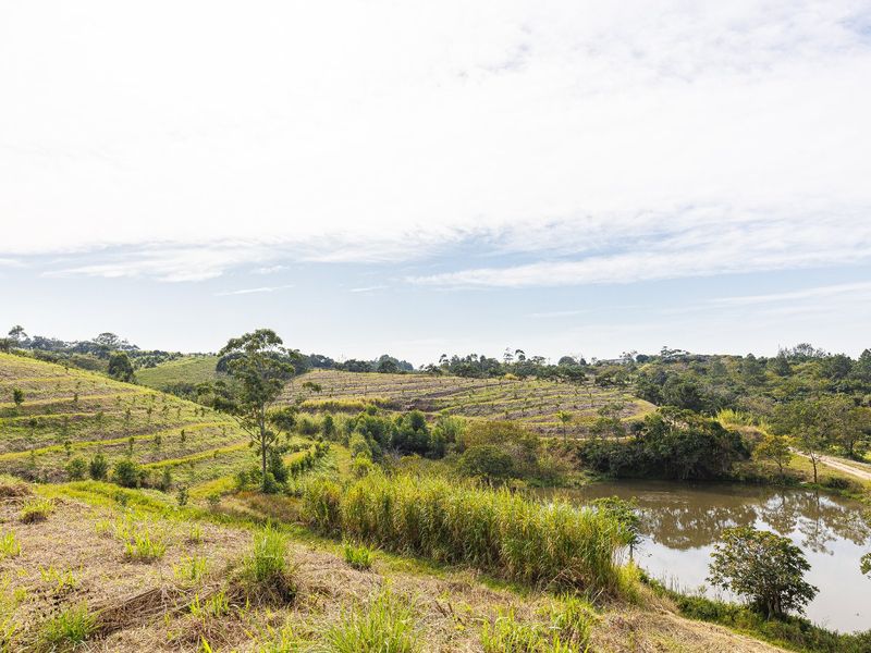 Expansive view of the farm property featuring rolling terraced hills and a natural pond.