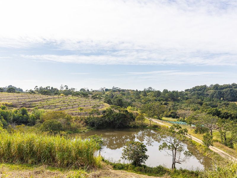 A scenic view of the farm property featuring a natural dam, dirt access tracks, and terraced agricultural land surrounded by native vegetation.