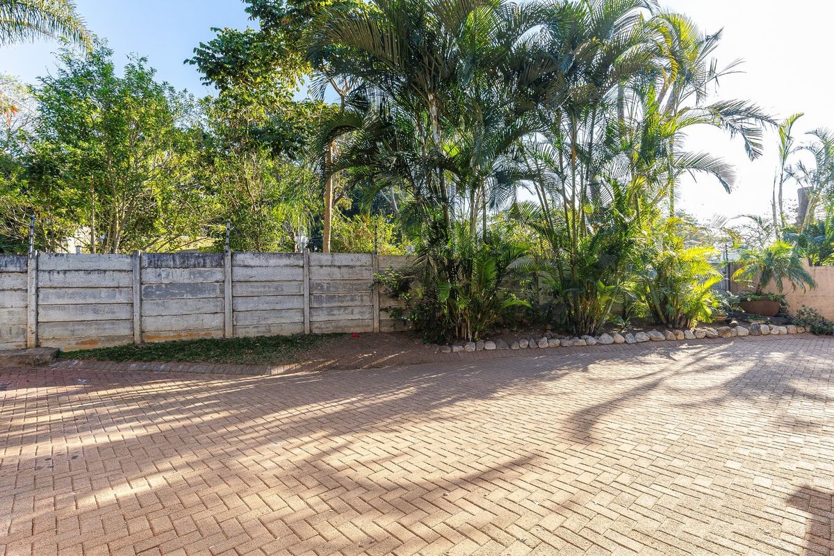A paved driveway area featuring a concrete boundary wall and established palm trees, providing a private and secure outdoor space.