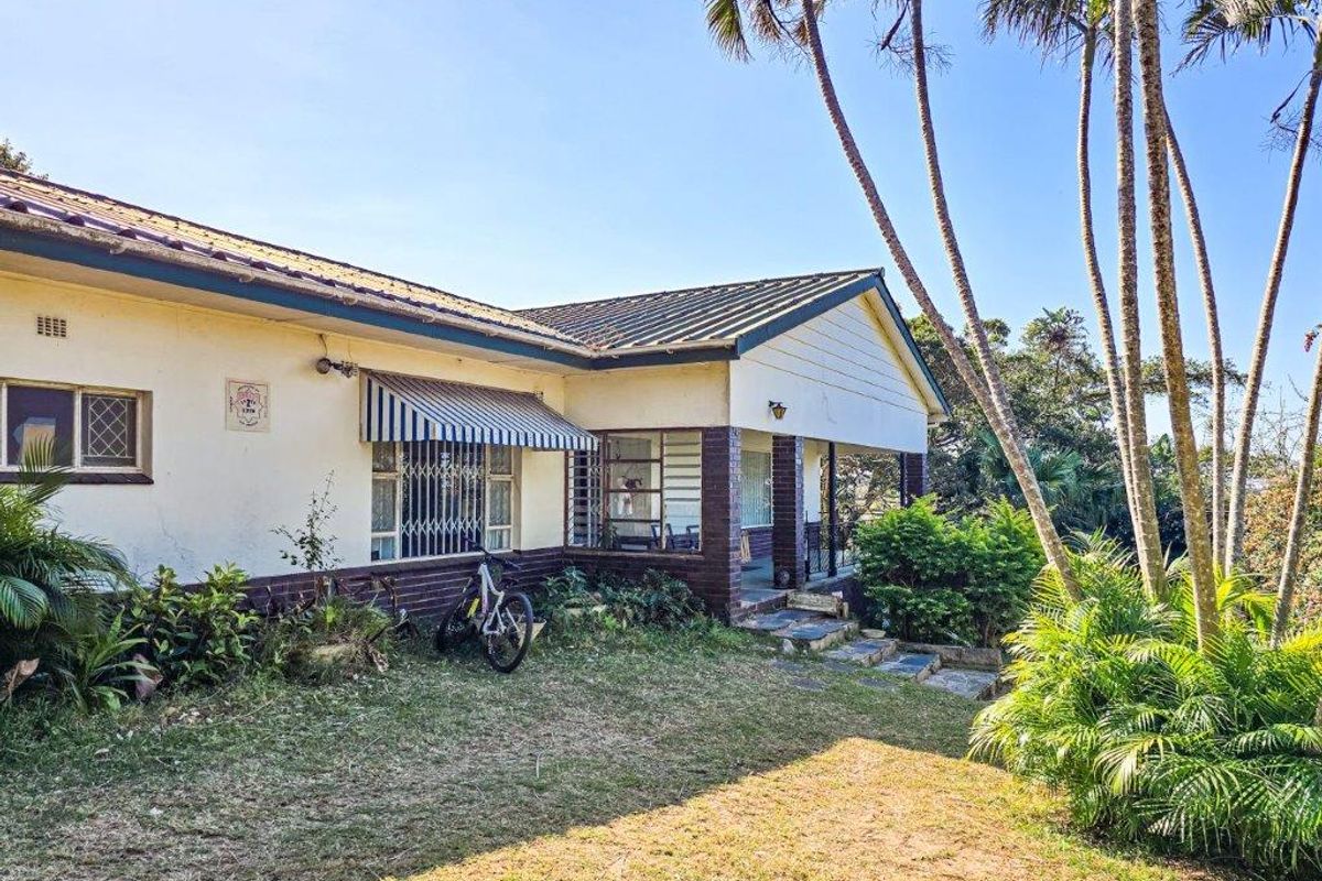 Rear view of the house featuring a covered patio, metal roofing, and established garden surroundings with mature palm trees.