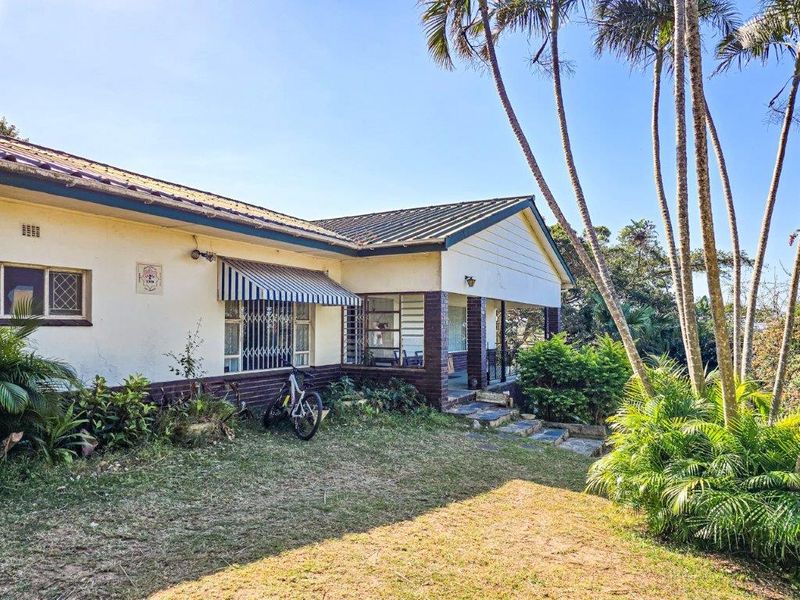 Rear view of the house featuring a covered patio, metal roofing, and established garden surroundings with mature palm trees.