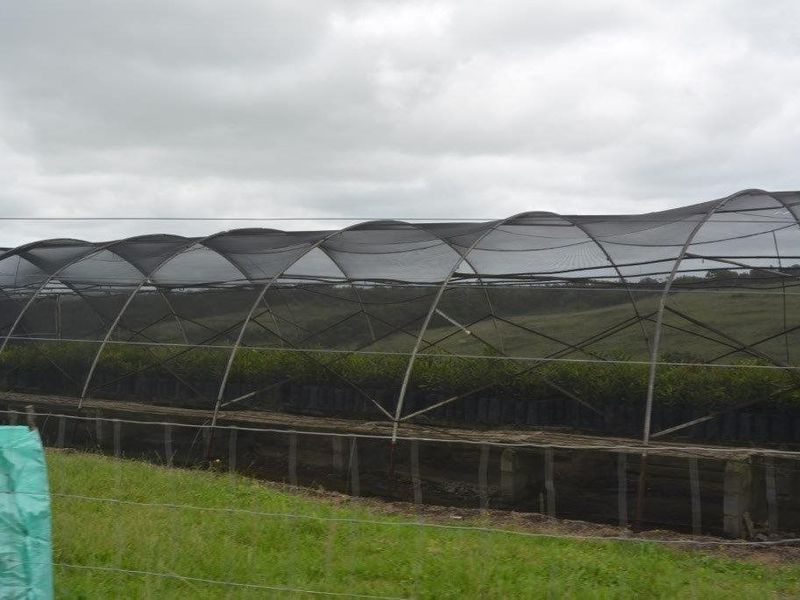Agricultural shade netting structure with metal framing, suitable for nursery or crop protection on the farm property.