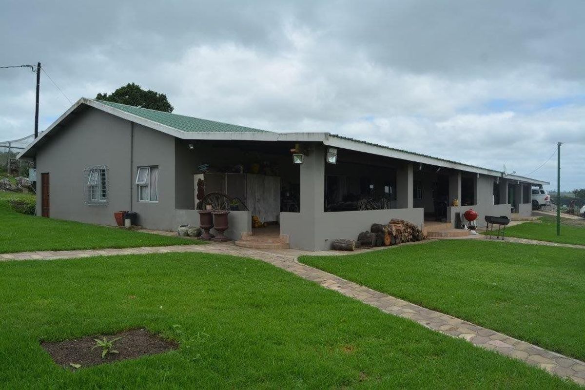 Rear view of a farm-style dwelling featuring a large covered patio, metal roofing, and stone paved pathways set within a well-maintained lawn.