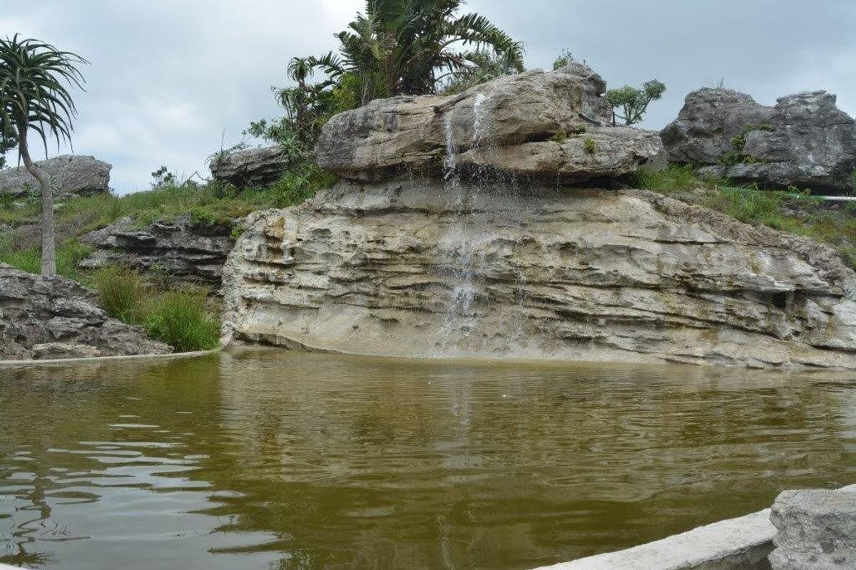 A naturalistic rock pool feature with an integrated waterfall, set within a landscaped farm garden environment.