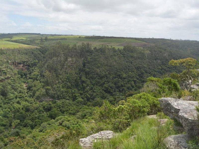 Expansive scenic view overlooking a lush forested valley and rolling agricultural landscape from a rocky vantage point.