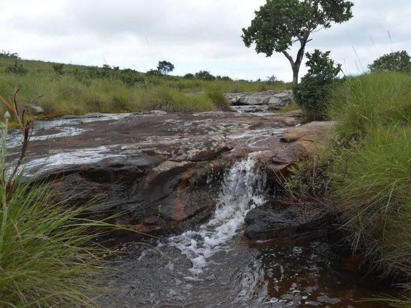 A scenic view of a natural stream flowing over rock formations within the farm's native grassland landscape.