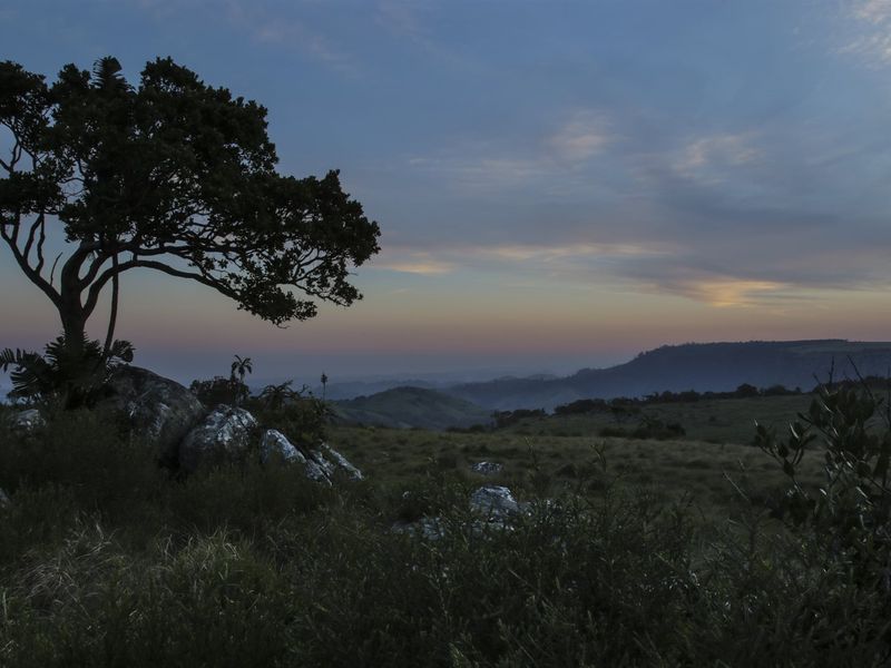 A scenic landscape view overlooking rolling hills and natural vegetation at dusk, showcasing the expansive rural setting of the property.